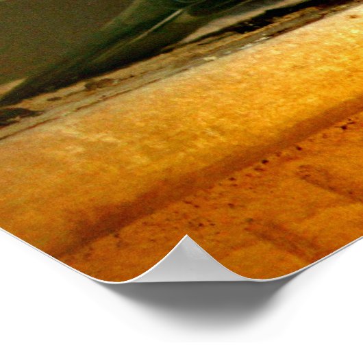 Chilly Dove Poster (Hoek)