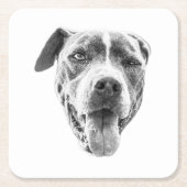 Chilly Dusk Canine Echo Kartonnen Onderzetters (Voorkant)