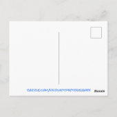 Chilly Iceberg Briefkaart (Achterkant)