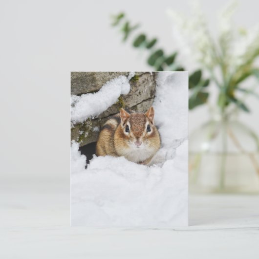 Chilly Little Chipmunk in de sneeuw Briefkaart (Staand voorkant)