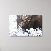 Chilly Moose Canvas Afdruk (Voorkant)