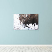Chilly Moose Canvas Afdruk (Insitu (Houten vloer))
