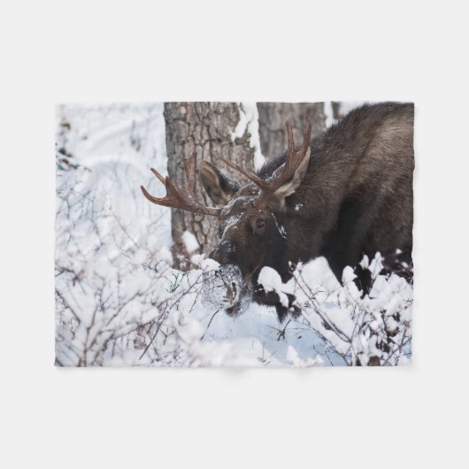 Chilly Moose Fleece Deken (Voorkant (Horizontaal))