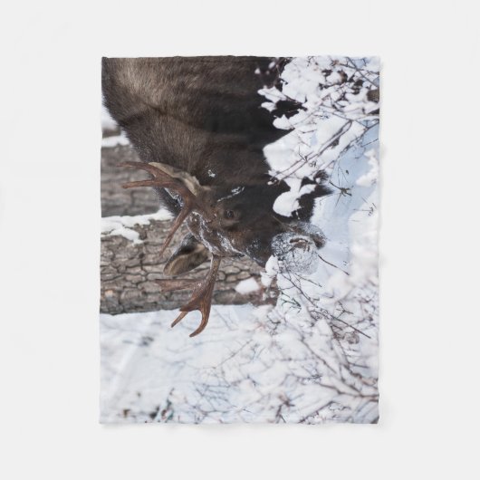 Chilly Moose Fleece Deken (Voorkant)