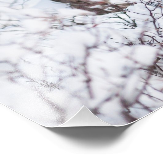 Chilly Moose Foto Afdruk (Hoek)