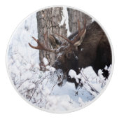 Chilly Moose Keramische Knop (Voorkant)