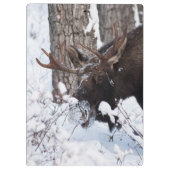 Chilly Moose Klembord (Achterkant)