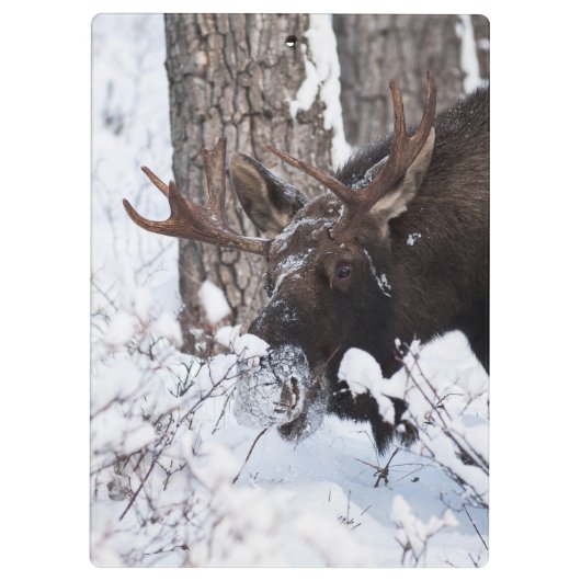 Chilly Moose Klembord (Achterkant)