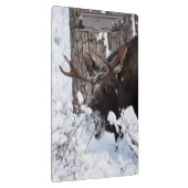 Chilly Moose Klembord (Rechts)