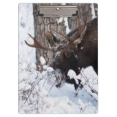 Chilly Moose Klembord (Voorkant)