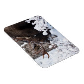 Chilly Moose Magneet (Rechterzijde)