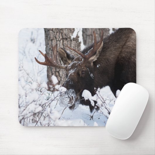 Chilly Moose Muismat (Met muis)