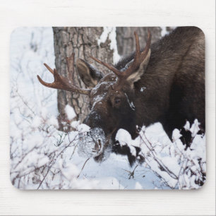Chilly Moose Muismat