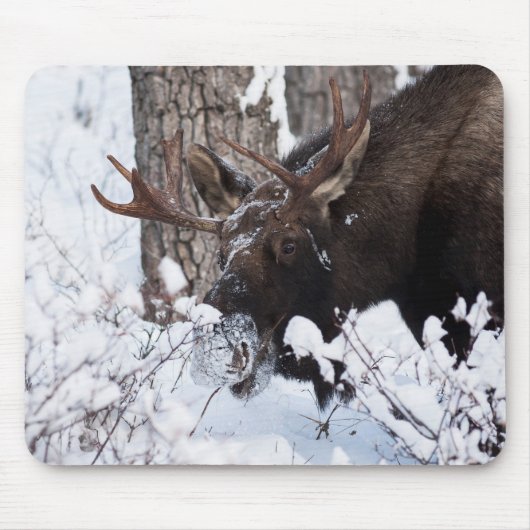Chilly Moose Muismat (Voorkant)