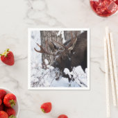 Chilly Moose Servet (Insitu)