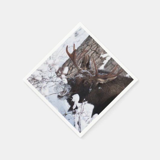 Chilly Moose Servet (Hoek)