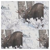 Chilly Moose Stof (Close Up)