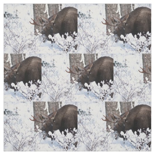 Chilly Moose Stof (Swatch)