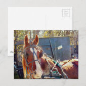 Chilly Morning Amish Horse Briefkaart (Voorkant / Achterkant)