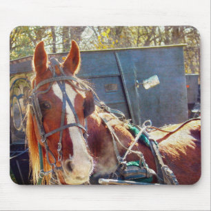Chilly Morning Amish Horse Muismat
