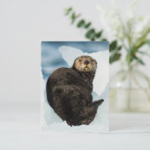 Chilly Zee Otter Briefkaart (Staand voorkant)
