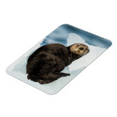 Chilly Zee Otter Magneet (Linkerzijde)