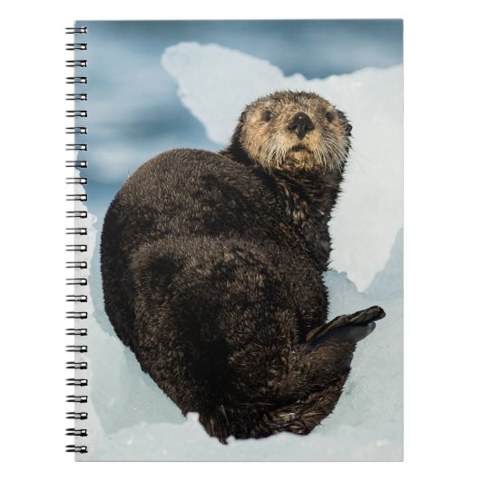Chilly Zee Otter Notitieboek (Voorkant)