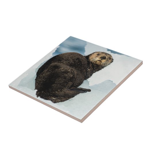 Chilly Zee Otter Tegeltje (Zijkant)