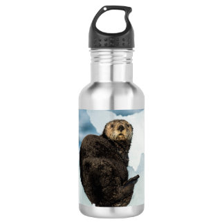 Chilly Zee Otter Waterfles