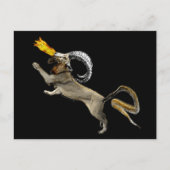 Chimera Briefkaart (Voorkant)