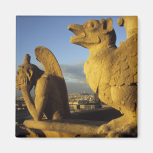 Chimera, Damekathedraal, Parijs, Frankrijk Magneet