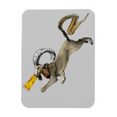 Chimera Magneet (Verticaal)