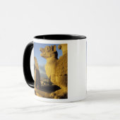 Chimera, re Dame Cathedral, Parijs, Frankrijk Mok (Voorkant links)