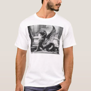 Chimera uit de St. Michel-fontein, Parijs T-shirt