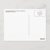 Chimney rock van Route 666 Briefkaart (Achterkant)