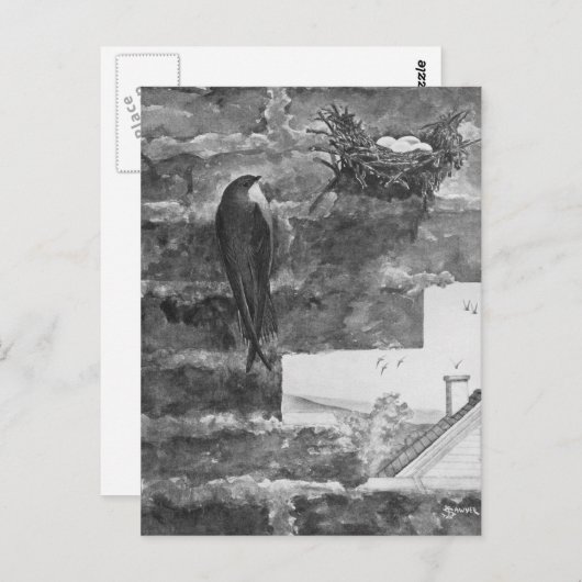 Chimney Swift en Nest Briefkaart (Voorkant / Achterkant)