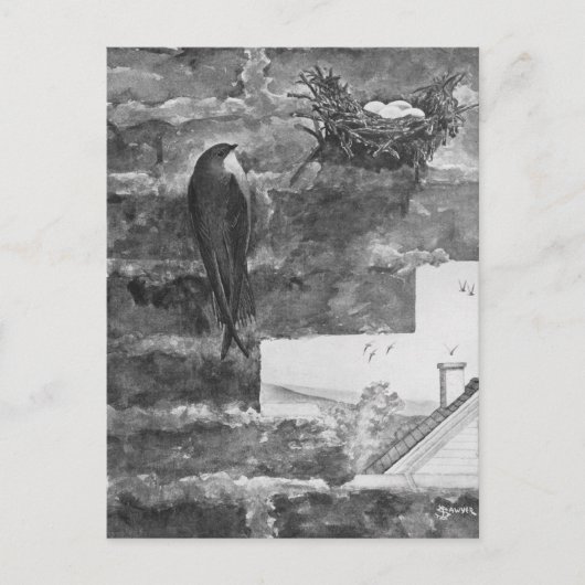 Chimney Swift en Nest Briefkaart (Voorkant)