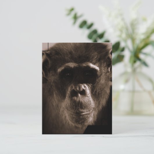 Chimp-Briefkaart Briefkaart (Staand voorkant)