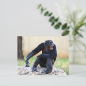 Chimp-Briefkaart schuren Briefkaart (Staand voorkant)