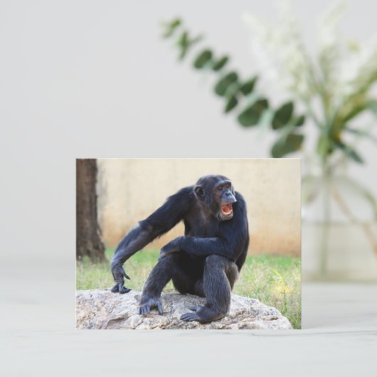 Chimp-Briefkaart schuren Briefkaart (Staand voorkant)