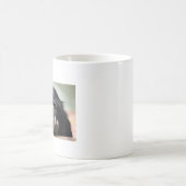 Chimp chimpansee aap mok kop (Center)