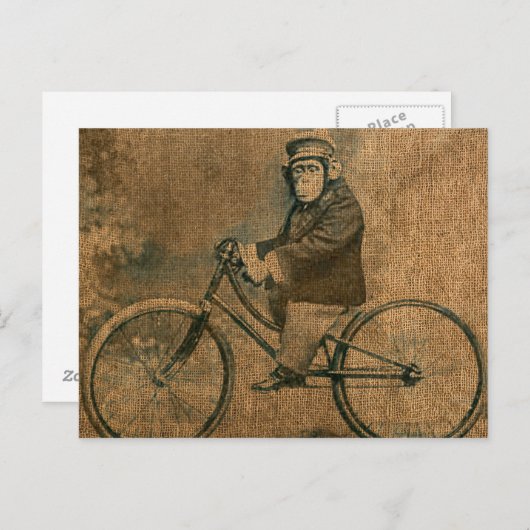 chimp die een fiets stuurt briefkaart (Voorkant / Achterkant)