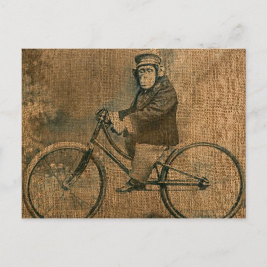  chimp die een fiets stuurt briefkaart (Voorkant)