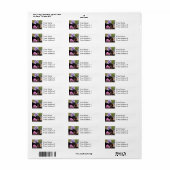 Chimp en dierenvrienden etiket (Full Sheet)