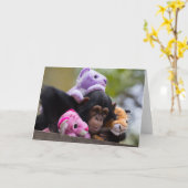 Chimp en dierenvrienden kaart (Gele Bloem)
