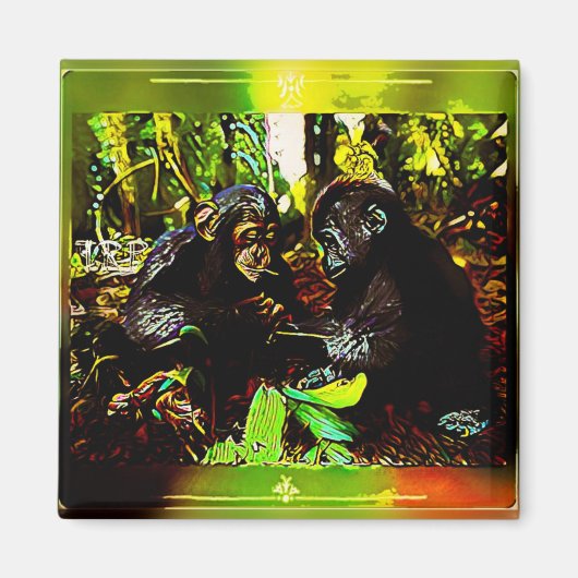 Chimp en Gorilla Cooperation 02. Magneet (Voorkant)