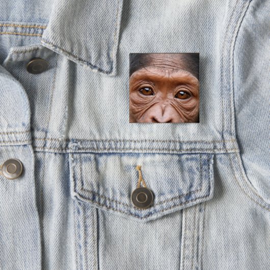 CHIMP EYES BUTTON (In situ)