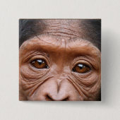 CHIMP EYES BUTTON (Voorkant)