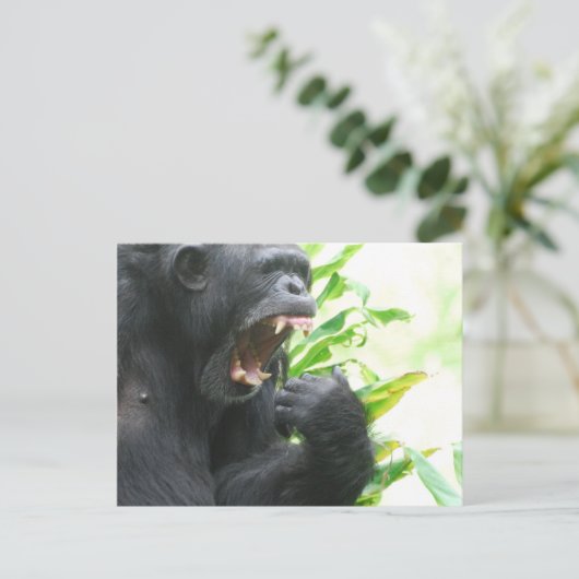 Chimp Fangs Briefkaart (Staand voorkant)