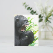 Chimp Fangs Briefkaart (Staand voorkant)